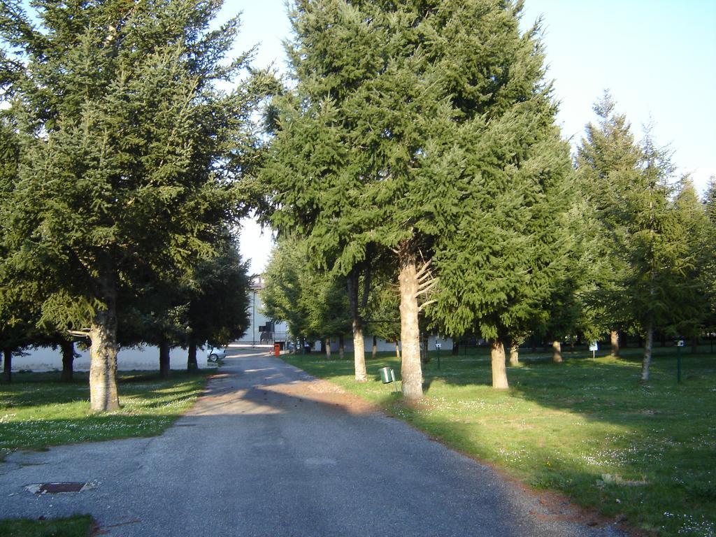 Hotel La Fattoria كاميغلياتيلو سيلانو المظهر الخارجي الصورة